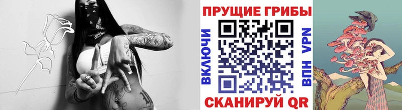 Псилоцибиновые грибы Cubensis Суздаль