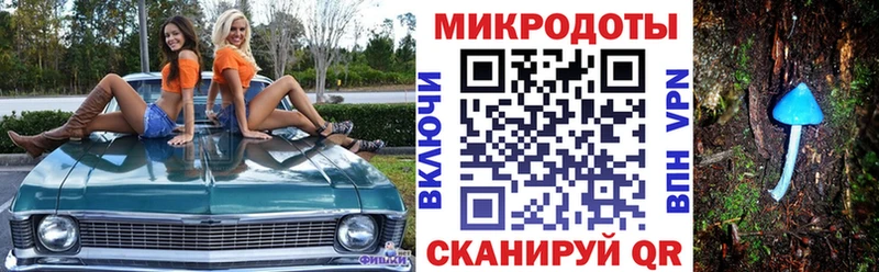 магазин  наркотиков  Суздаль  Псилоцибиновые грибы GOLDEN TEACHER 