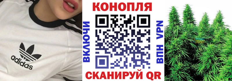 Бошки Шишки сатива  Суздаль 